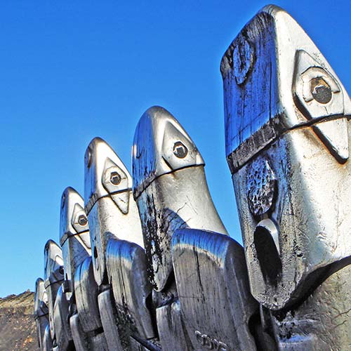 Tungsten Carbide Overlay Teeth