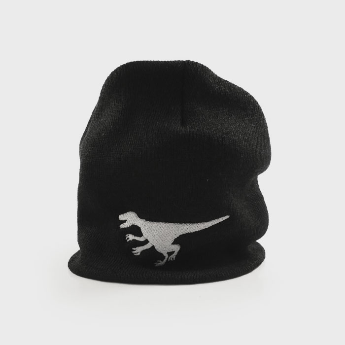 Raptor Men's Toque