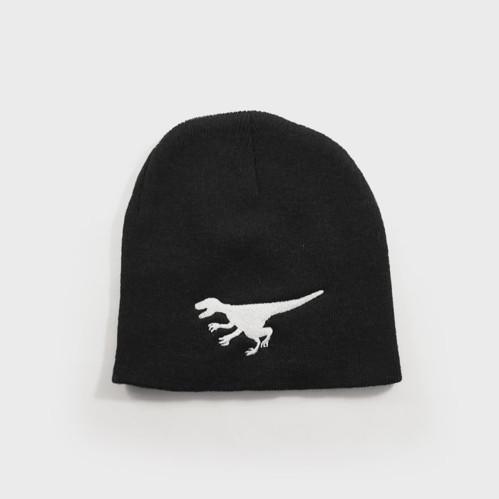 Raptor Men's Toque